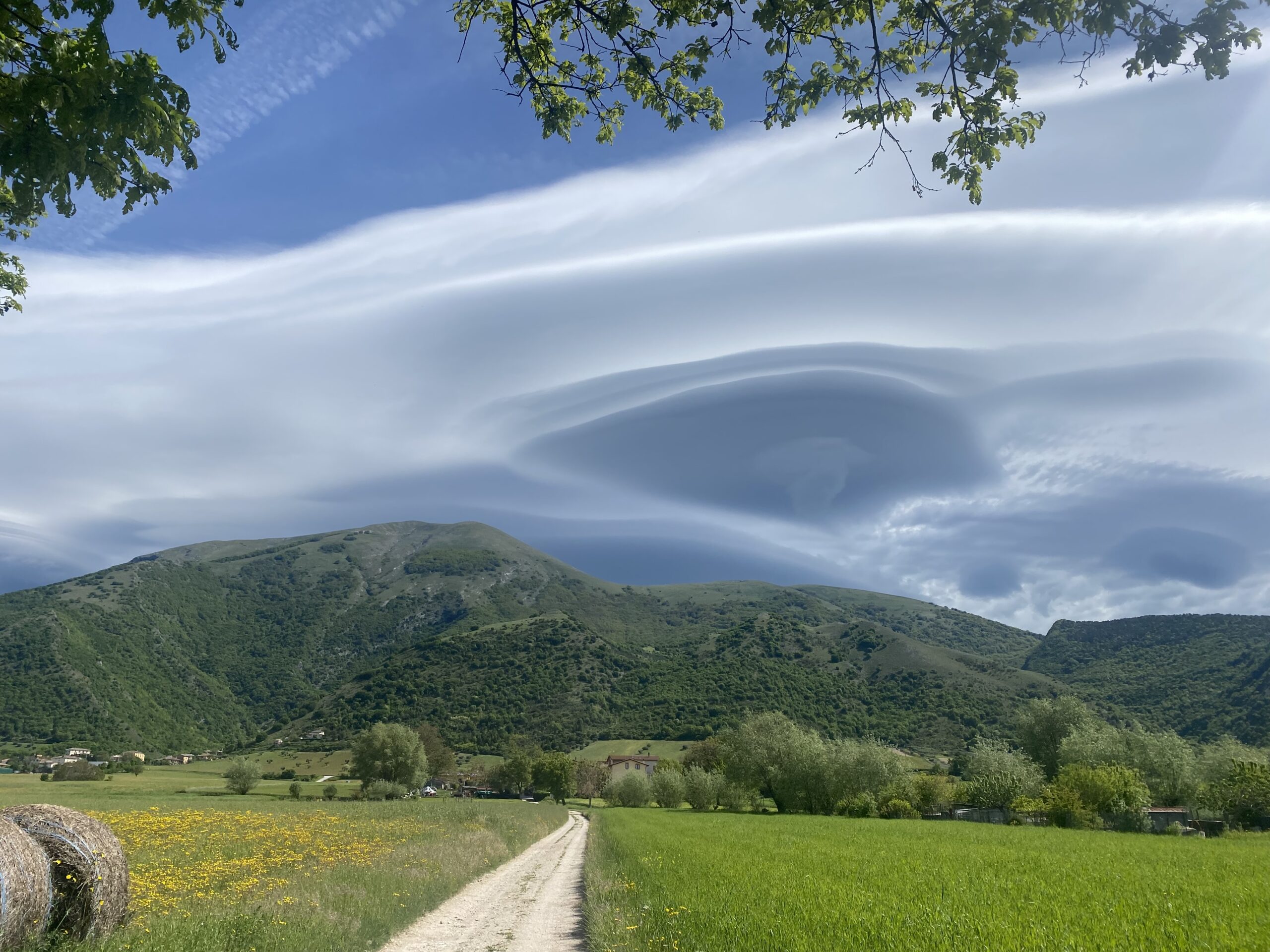 panorama